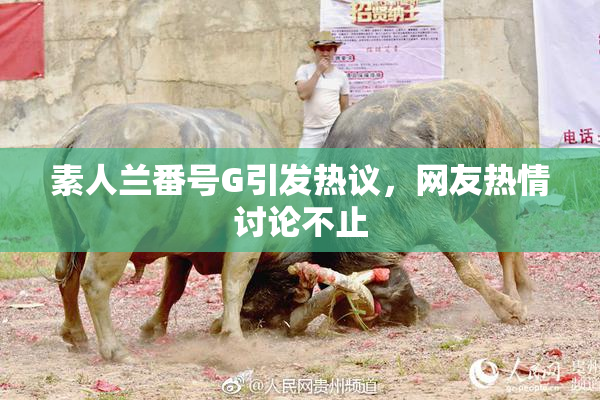 素人兰番号G引发热议，网友热情讨论不止