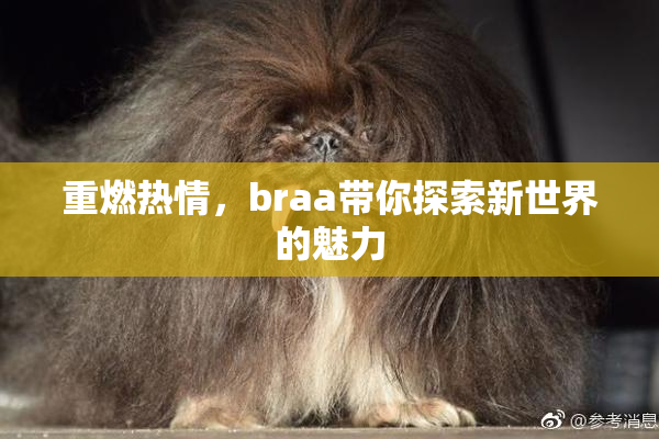 重燃热情，braa带你探索新世界的魅力