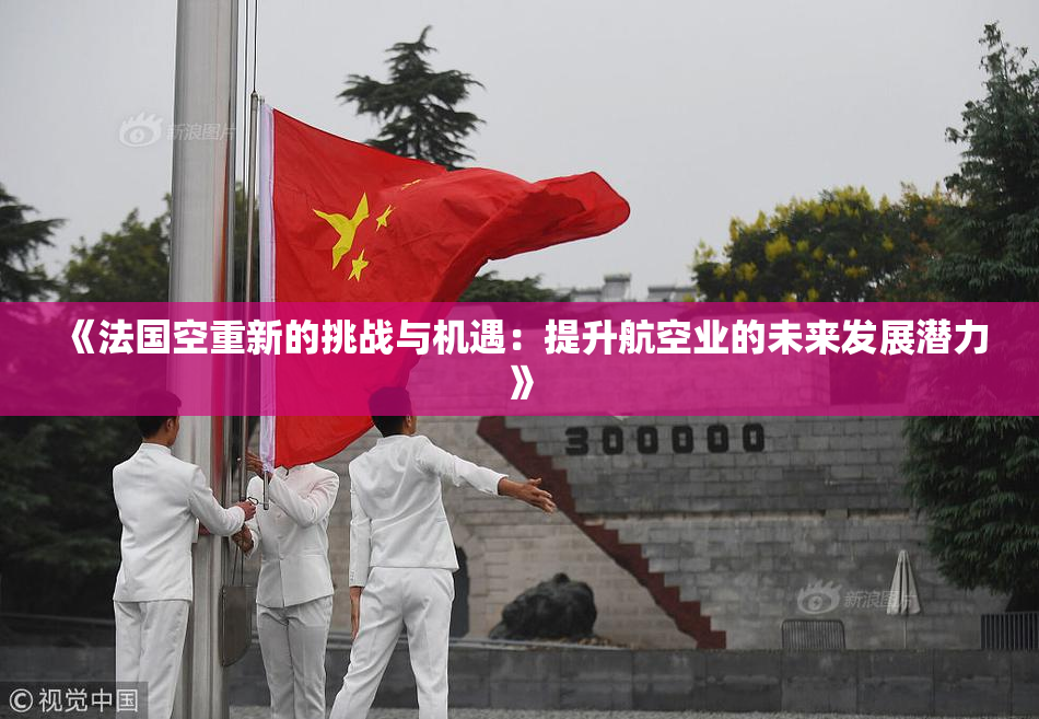 《法国空重新的挑战与机遇：提升航空业的未来发展潜力》