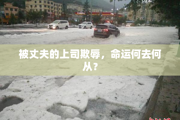 被丈夫的上司欺辱，命运何去何从？