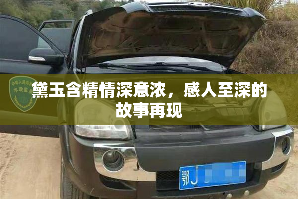 黛玉含精情深意浓，感人至深的故事再现