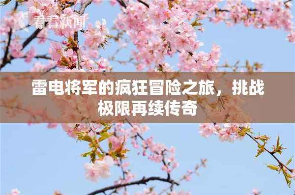雷电将军的疯狂冒险之旅，挑战极限再续传奇