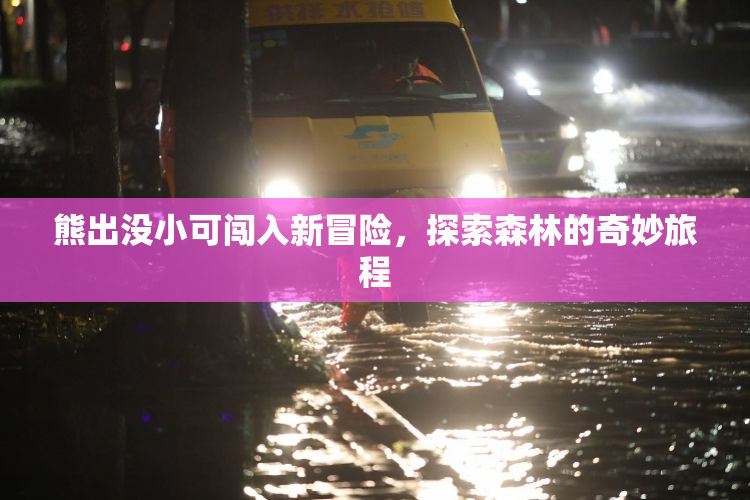 熊出没小可闯入新冒险，探索森林的奇妙旅程