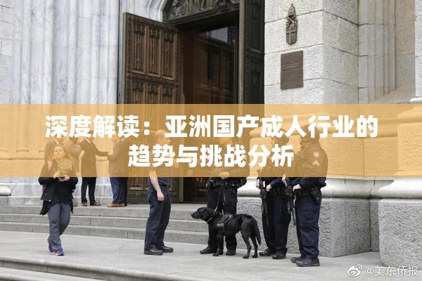 深度解读：亚洲国产成人行业的趋势与挑战分析