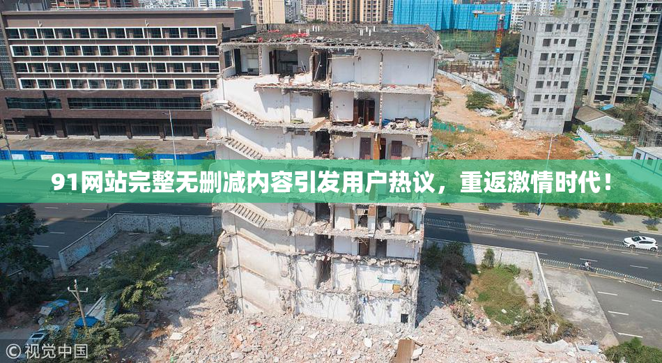 91网站完整无删减内容引发用户热议，重返激情时代！