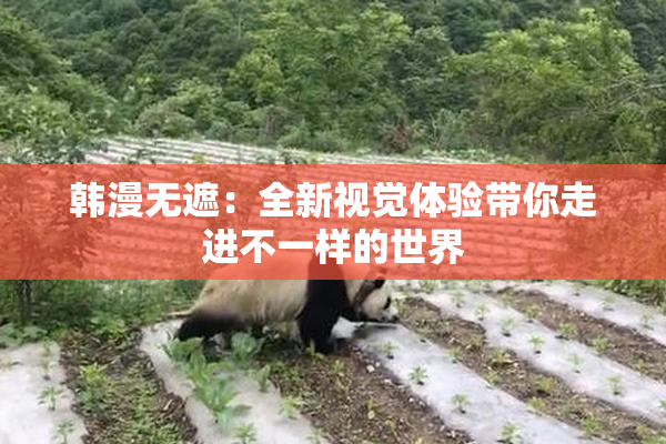 韩漫无遮：全新视觉体验带你走进不一样的世界