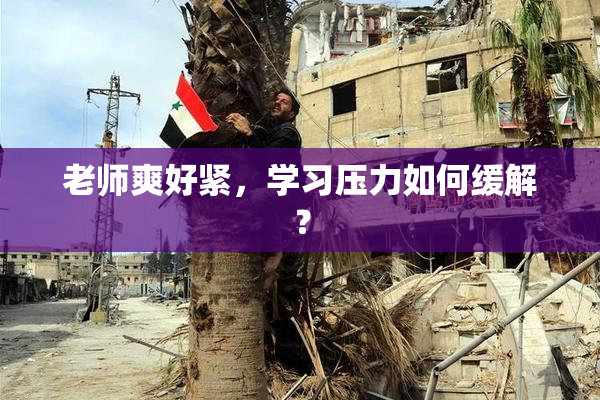 老师爽好紧，学习压力如何缓解？