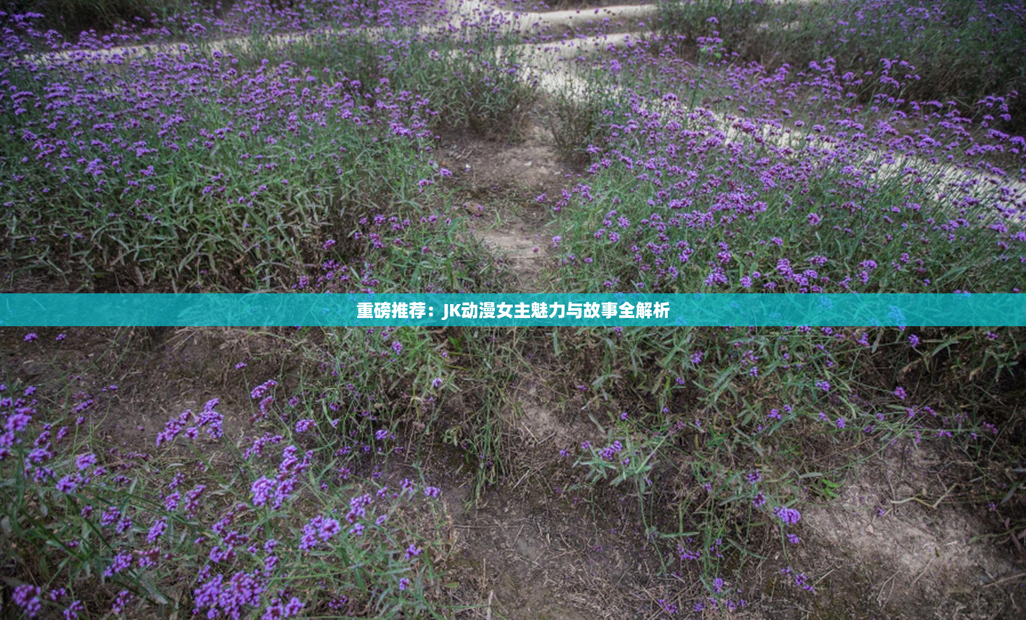 重磅推荐：JK动漫女主魅力与故事全解析