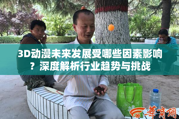 3D动漫未来发展受哪些因素影响？深度解析行业趋势与挑战