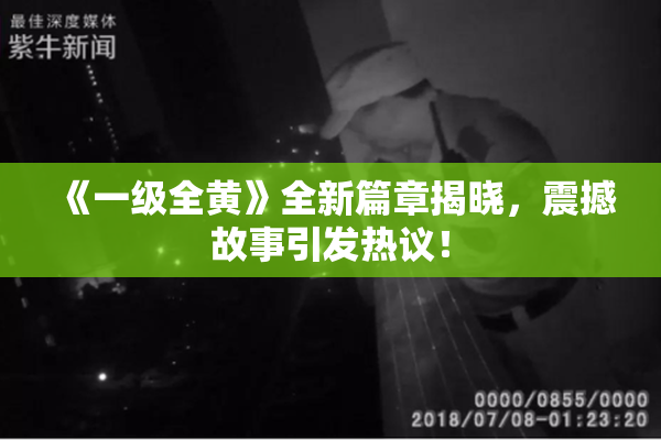《一级全黄》全新篇章揭晓，震撼故事引发热议！