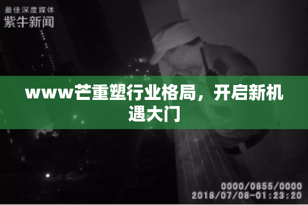 www芒重塑行业格局，开启新机遇大门