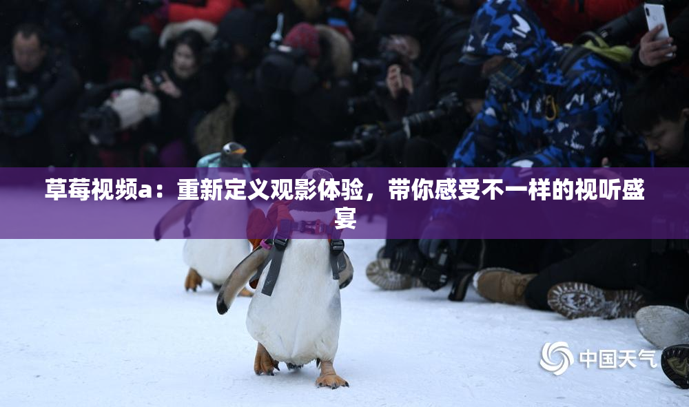 草莓视频a：重新定义观影体验，带你感受不一样的视听盛宴