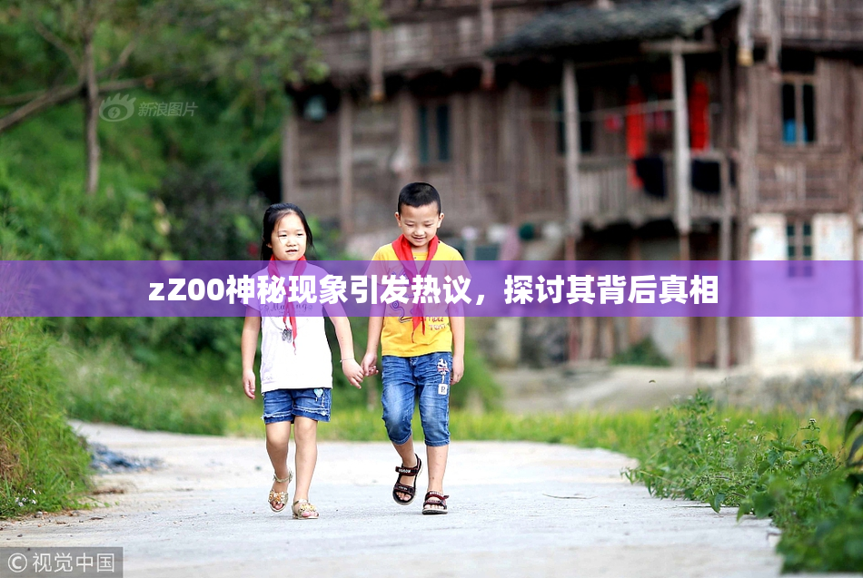 zZ00神秘现象引发热议，探讨其背后真相