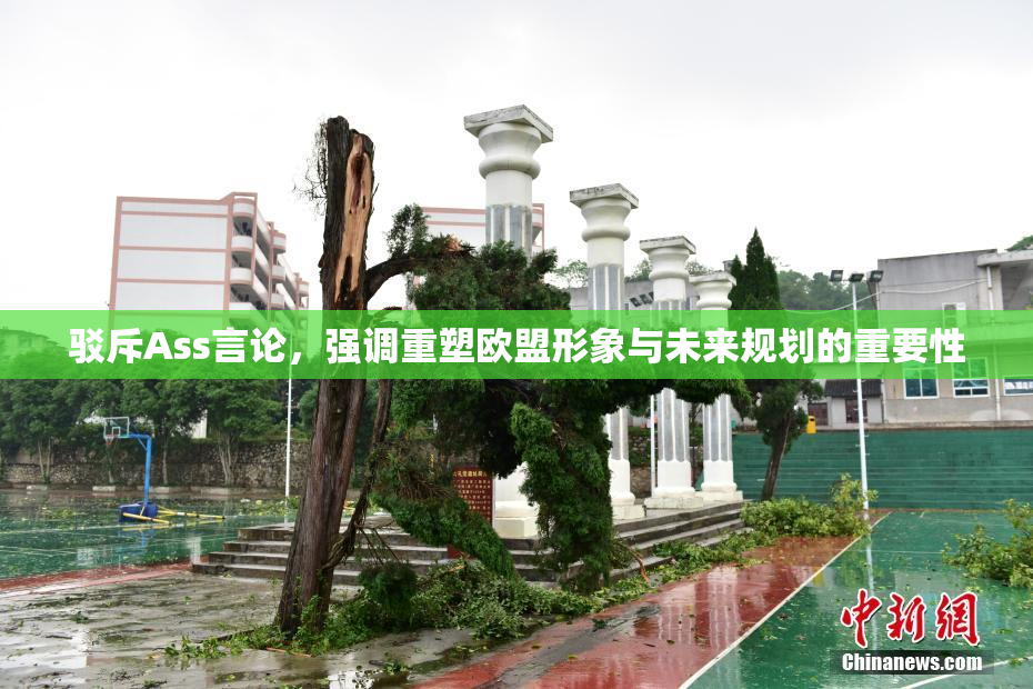 驳斥Ass言论，强调重塑欧盟形象与未来规划的重要性