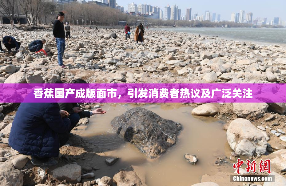 香蕉国产成版面市，引发消费者热议及广泛关注