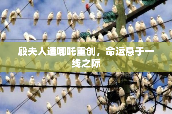 殷夫人遭哪吒重创，命运悬于一线之际