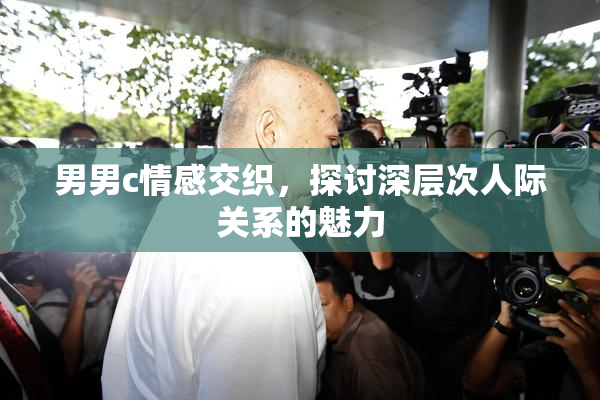 男男c情感交织，探讨深层次人际关系的魅力