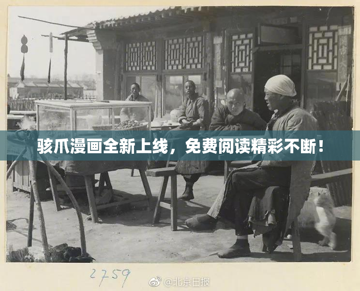 骇爪漫画全新上线，免费阅读精彩不断！