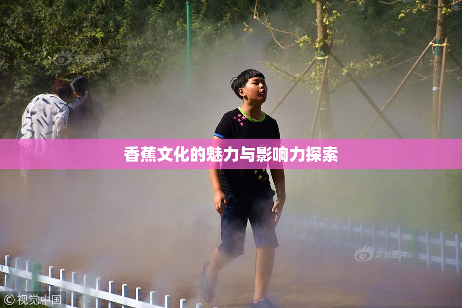 香蕉文化的魅力与影响力探索