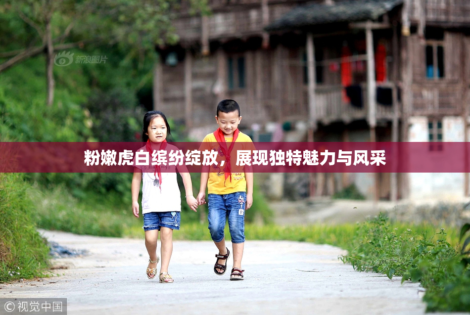 粉嫩虎白缤纷绽放，展现独特魅力与风采