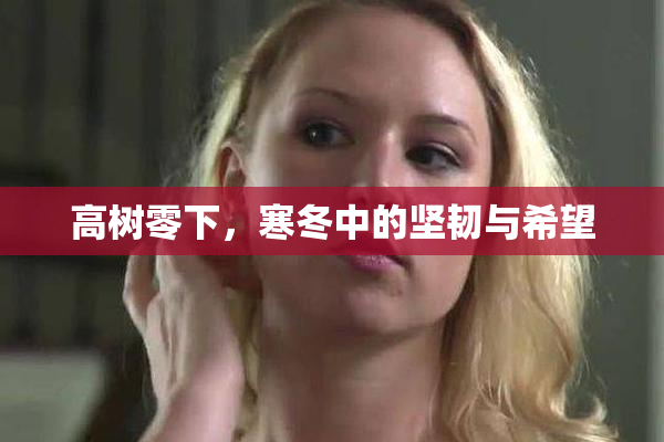 高树零下，寒冬中的坚韧与希望