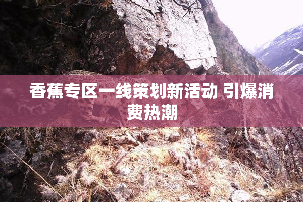 香蕉专区一线策划新活动 引爆消费热潮