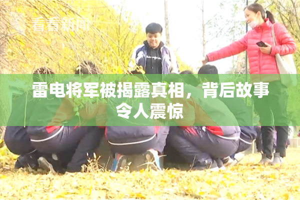 雷电将军被揭露真相，背后故事令人震惊