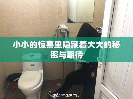 小小的惊喜里隐藏着大大的秘密与期待