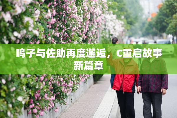 鸣子与佐助再度邂逅，C重启故事新篇章
