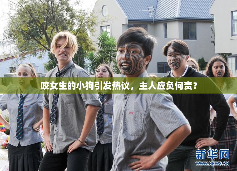 咬女生的小狗引发热议，主人应负何责？