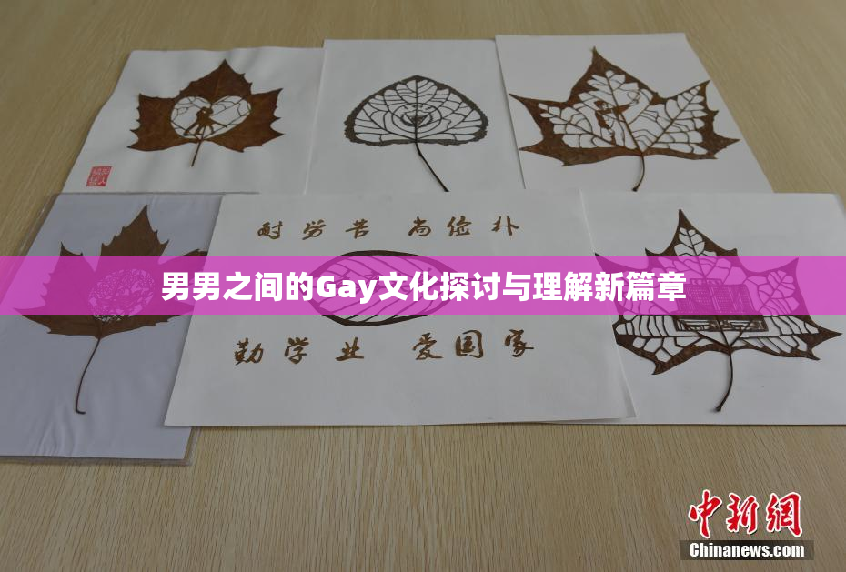 男男之间的Gay文化探讨与理解新篇章