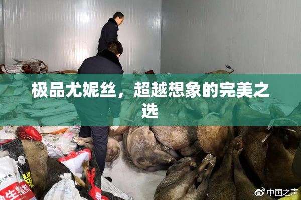 极品尤妮丝，超越想象的完美之选