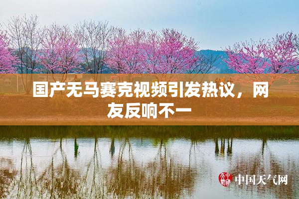 国产无马赛克视频引发热议，网友反响不一