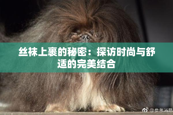 丝袜上裹的秘密：探访时尚与舒适的完美结合