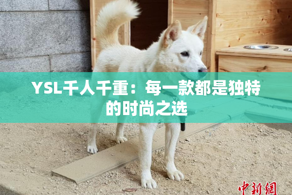 YSL千人千重：每一款都是独特的时尚之选