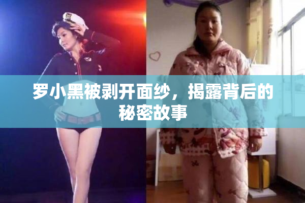罗小黑被剥开面纱，揭露背后的秘密故事