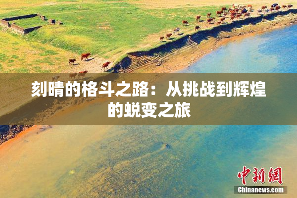 刻晴的格斗之路：从挑战到辉煌的蜕变之旅