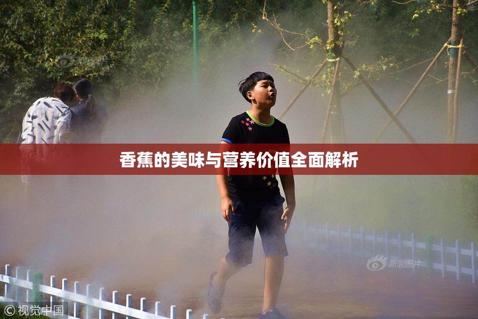 香蕉的美味与营养价值全面解析