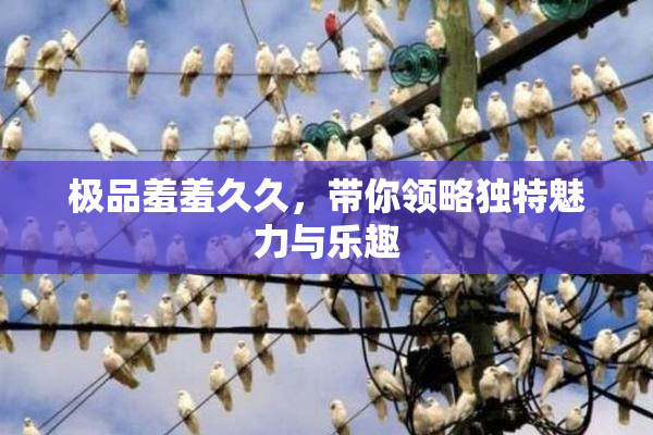 极品羞羞久久，带你领略独特魅力与乐趣