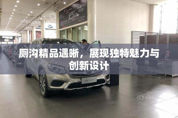 厕沟精品遇晰，展现独特魅力与创新设计