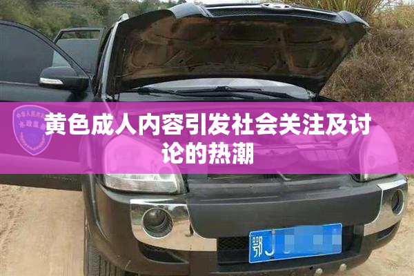 黄色成人内容引发社会关注及讨论的热潮