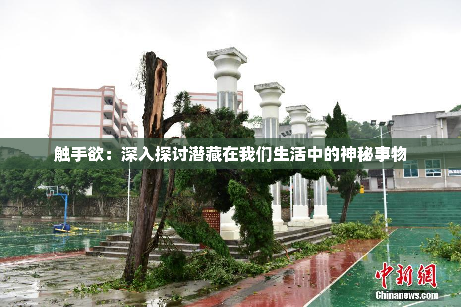 触手欲：深入探讨潜藏在我们生活中的神秘事物