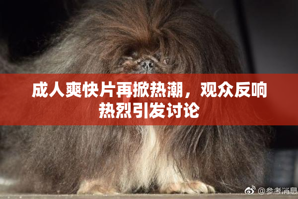 成人爽快片再掀热潮，观众反响热烈引发讨论