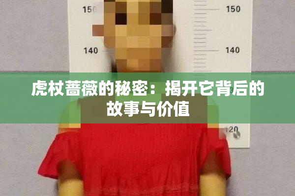 虎杖蔷薇的秘密：揭开它背后的故事与价值