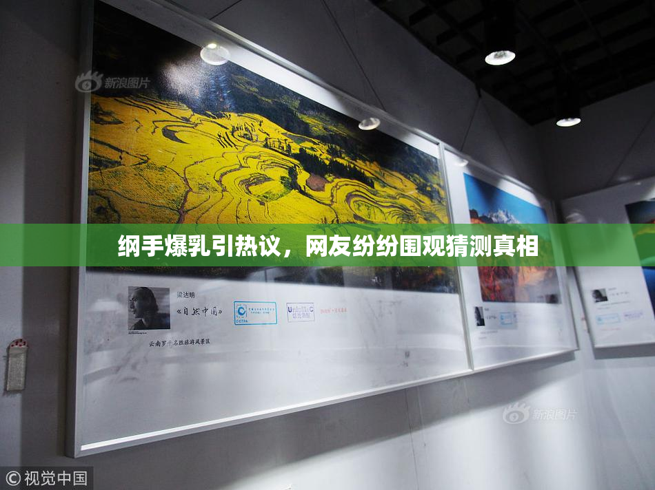 纲手爆乳引热议，网友纷纷围观猜测真相