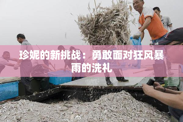 珍妮的新挑战：勇敢面对狂风暴雨的洗礼