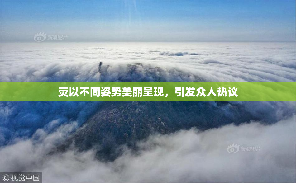 荧以不同姿势美丽呈现，引发众人热议