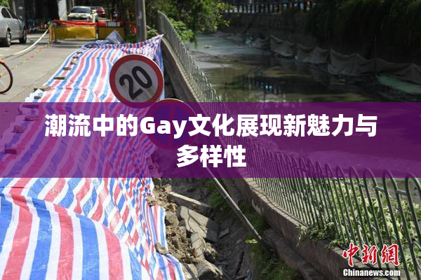 潮流中的Gay文化展现新魅力与多样性