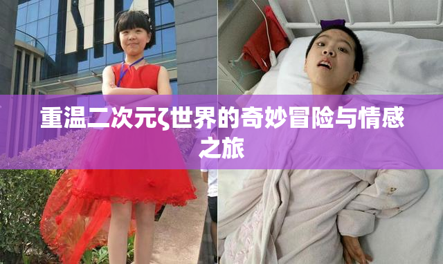 重温二次元ζ世界的奇妙冒险与情感之旅