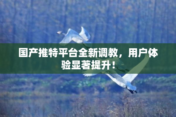 国产推特平台全新调教，用户体验显著提升！